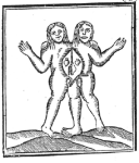 Imagen del boletín