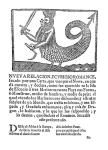 Imagen del boletín
